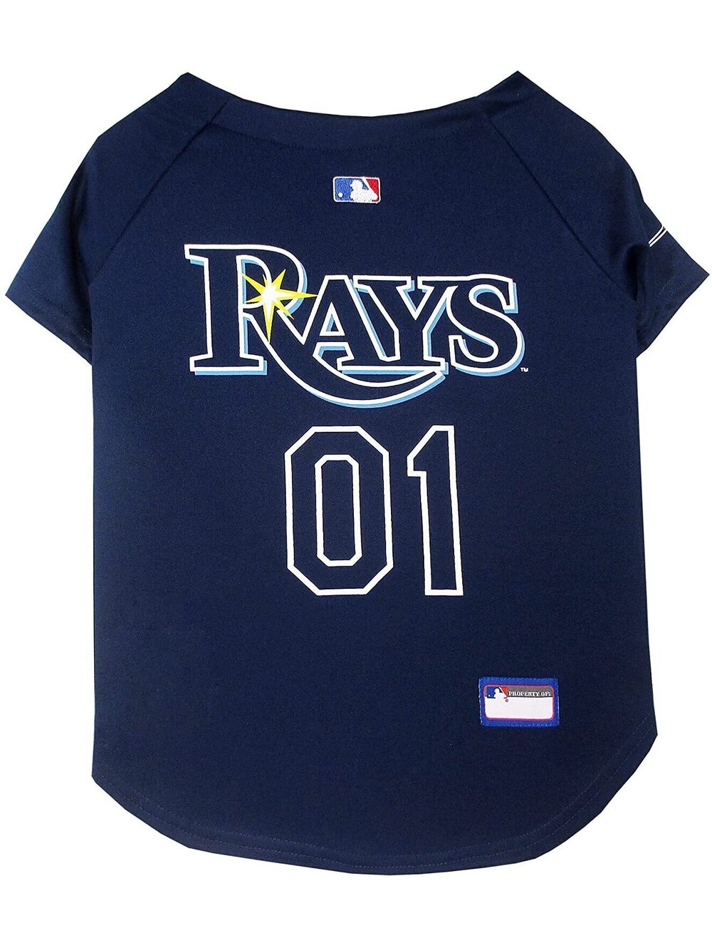 Tampa Bay Rays Pet Jersey (Large) fits Dogs 20"- 24" from Neck to Tail Bone